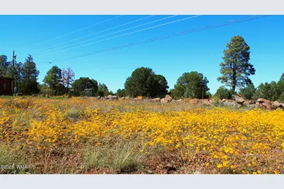 2966 Johnson Street, Lakeside, AZ 85929 - Photo 1