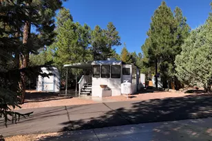 2170 E Hanging Tree Trail, Show Low, AZ 85901 - Photo 23