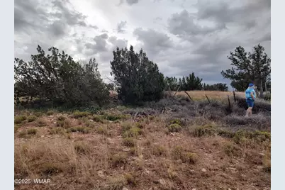 Tbd 201-25-009 and 010A, Heber, AZ 85928 - Photo 3