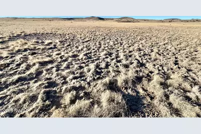 Tbd N3443, Concho, AZ 85924 - Photo 5