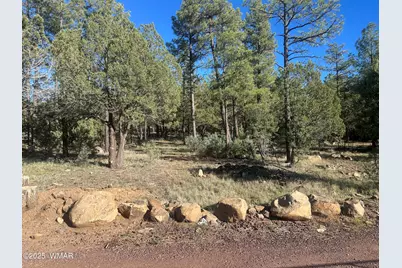 Tbd Rodgers Road, Lakeside, AZ 85929 - Photo 5