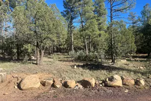 Tbd Rodgers Rd, Lakeside, AZ 85929 - Photo 5