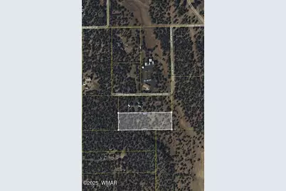 Tbd 106-39-007N, Vernon, AZ 85940 - Photo 3