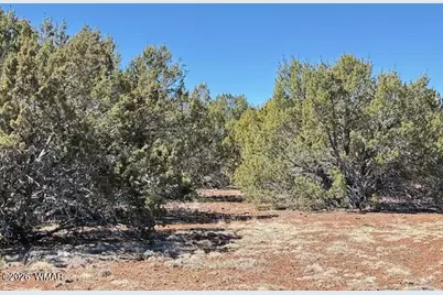 000 N3239, Vernon, AZ 85940 - Photo 11