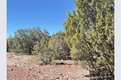 000 N3239, Vernon, AZ 85940 - Photo 7