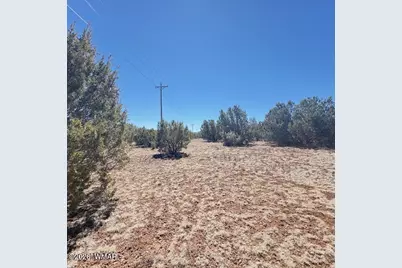 000 N3239, Vernon, AZ 85940 - Photo 5