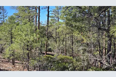 440 E Stoneridge Circle, Show Low, AZ 85901 - Photo 3