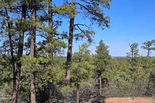 440 E Stoneridge Cir, Show Low, AZ 85901 - Photo 1