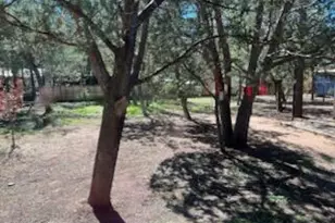 3343 Oakwood Dr, Lakeside, AZ 85929 - Photo 3