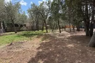 3343 Oakwood Dr, Lakeside, AZ 85929 - Photo 39