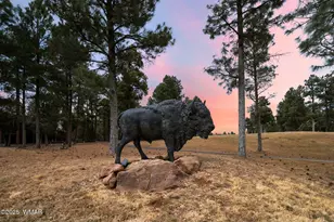 120 N Retreat Dr, Show Low, AZ 85901 - Photo 5