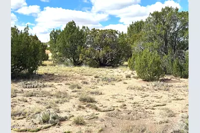 5 Clubhouse Lane, Concho, AZ 85924 - Photo 3