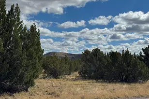 5 Clubhouse Ln, Concho, AZ 85924 - Photo 1