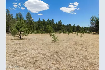 10 N2310, Alpine, AZ 85920 - Photo 5