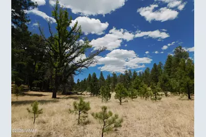 10 N2310, Alpine, AZ 85920 - Photo 1