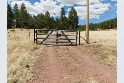 10 N2310, Alpine, AZ 85920 - Photo 15