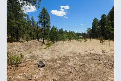 10 N2310, Alpine, AZ 85920 - Photo 7