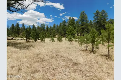 10 N2310, Alpine, AZ 85920 - Photo 11