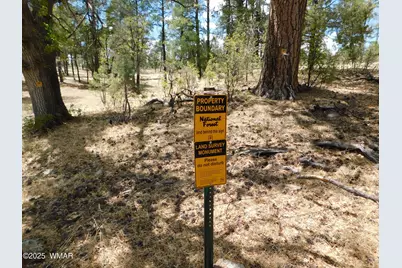 10 N2310, Alpine, AZ 85920 - Photo 9
