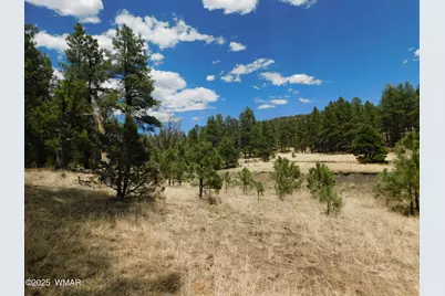 10 N2310, Alpine, AZ 85920 - Photo 3