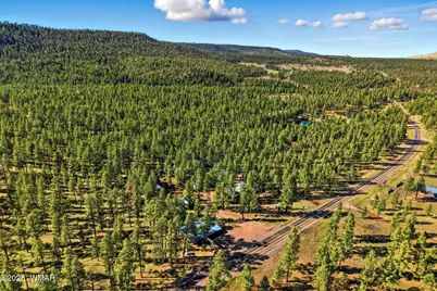 38742 State Route 373, Greer, AZ 85927 - Photo 3