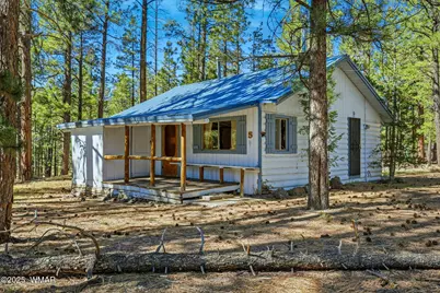 38742 State Route 373, Greer, AZ 85927 - Photo 35
