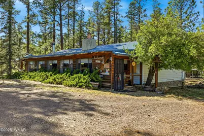 38742 State Route 373, Greer, AZ 85927 - Photo 5