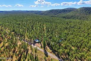 38742 State Route 373, Greer, AZ 85927 - Photo 75