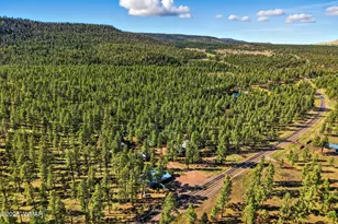 38742 State Route 373, Greer, AZ 85927 - Photo 73