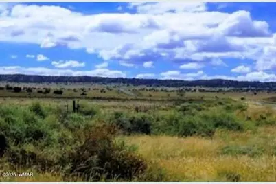 Tbd Bell Brand Ranches Lot 115, Sanders, AZ 86512 - Photo 1