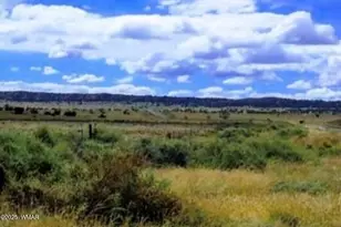 Tbd Bell Brand Ranches Lot 115, Sanders, AZ 86512 - Photo 1
