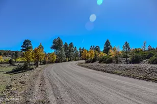 685 Kuhn Rd, Pinedale, AZ 85934 - Photo 63