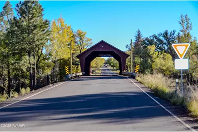 685 Kuhn Road, Pinedale, AZ 85934 - Photo 59