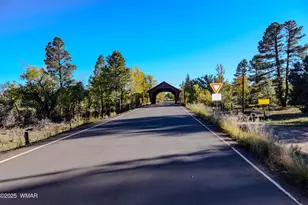 685 Kuhn Rd, Pinedale, AZ 85934 - Photo 71