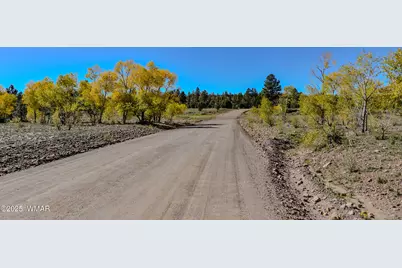 685 Kuhn Road, Pinedale, AZ 85934 - Photo 65