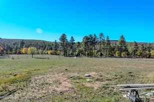 685 Kuhn Rd, Pinedale, AZ 85934 - Photo 27