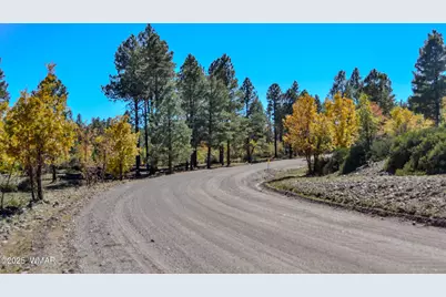 685 Kuhn Road, Pinedale, AZ 85934 - Photo 49