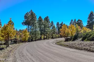 685 Kuhn Rd, Pinedale, AZ 85934 - Photo 49