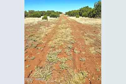 20 Co Road, Concho, AZ 85924 - Photo 9