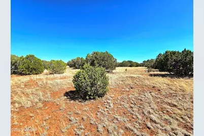 20 Co Road, Concho, AZ 85924 - Photo 9