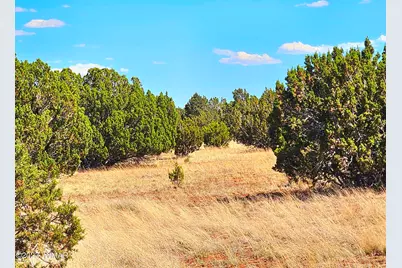 20 Co Road, Concho, AZ 85924 - Photo 1
