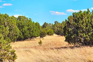 20 County Rd, Concho, AZ 85924 - Photo 1
