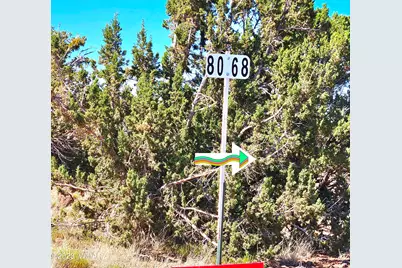 20 Co Road, Concho, AZ 85924 - Photo 19