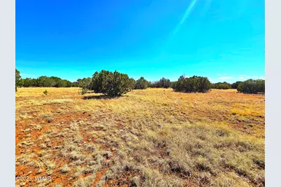 20 Co Road, Concho, AZ 85924 - Photo 3