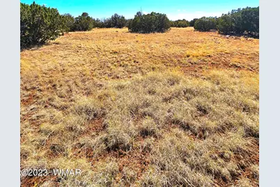 20 Co Road, Concho, AZ 85924 - Photo 17