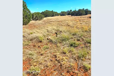20 Co Road, Concho, AZ 85924 - Photo 5