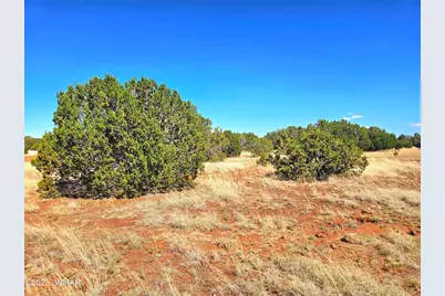 20 Co Road, Concho, AZ 85924 - Photo 7