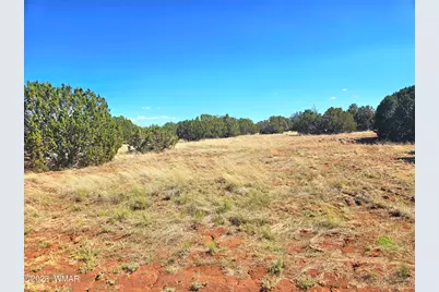 20 Co Road, Concho, AZ 85924 - Photo 1