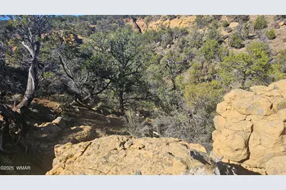 4 County Road, Concho, AZ 85924 - Photo 11