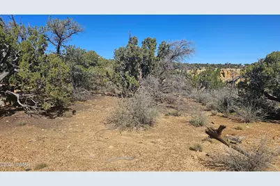 4 County Road, Concho, AZ 85924 - Photo 23
